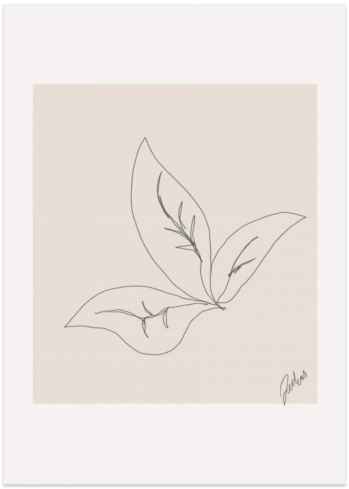 Leaf Contours