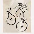 Fruitful Minimalism