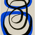 Looping Vortex