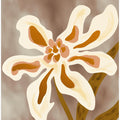 Delicate White Flower with Yellow Accents