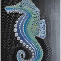 Seahorse Odyssey