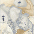 Organic Fluid Shapes