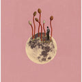 Lunar Growth