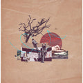 Barren Tree