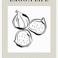 Fig Harmony