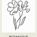 Floral Line Elegance