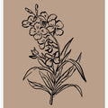 Delicate Blossoms