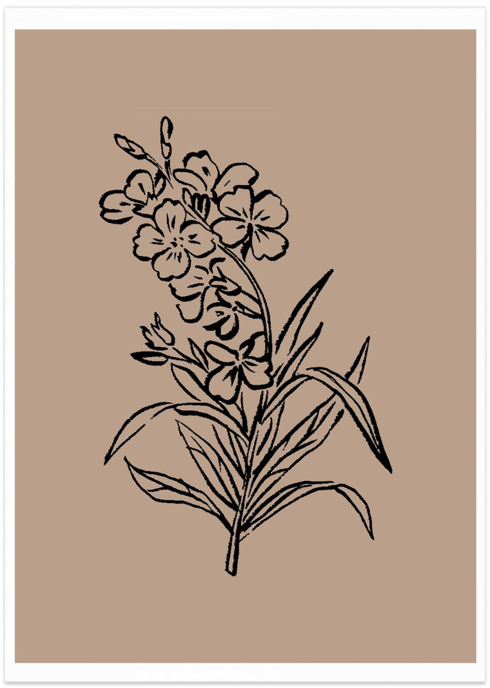 Delicate Blossoms