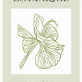 Green Flora Outline