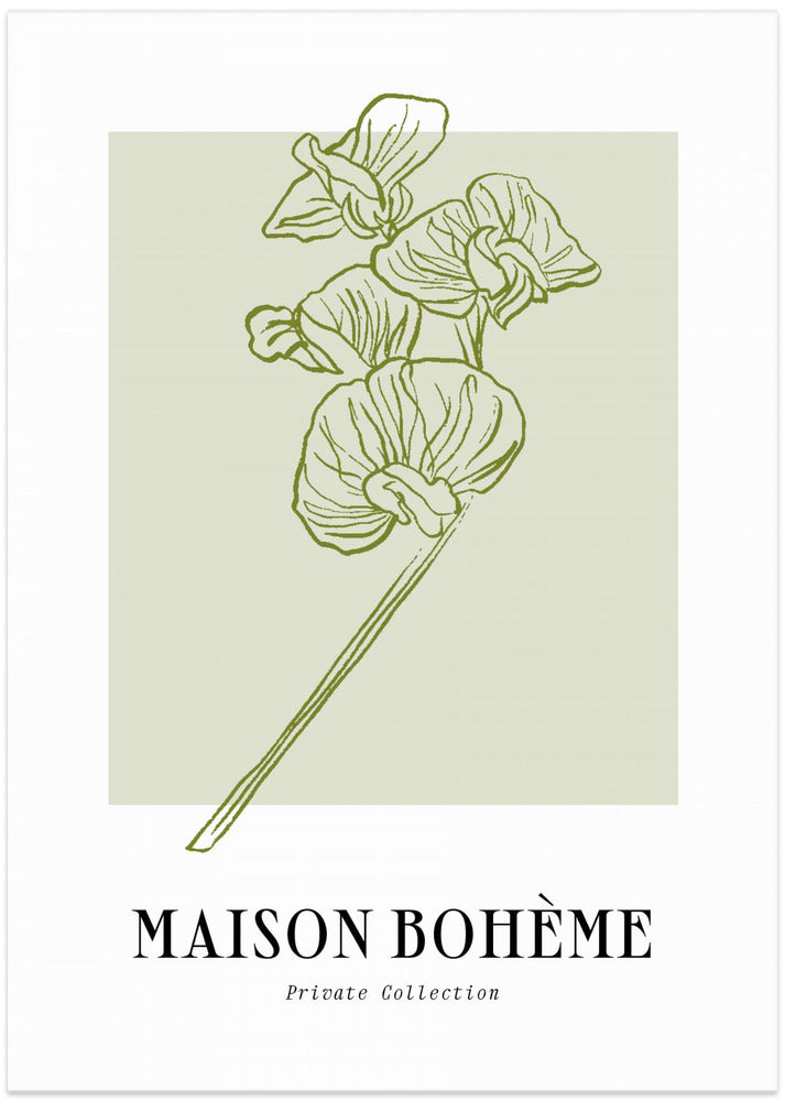Elegant Blooms