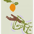 Reach for Citrus