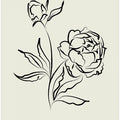 Peony Elegance