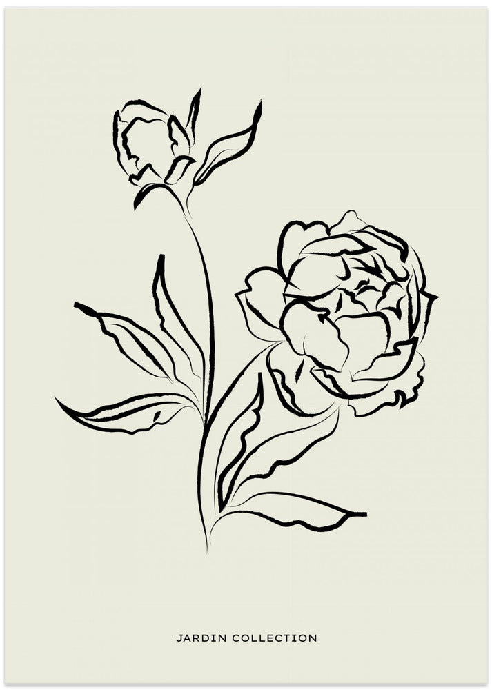 Peony Elegance