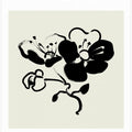 Floral Essence