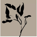 Elegant Flora