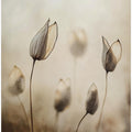 Whispers of Nature