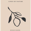 Elegant Nature Sketch