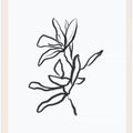 Delicate Linework