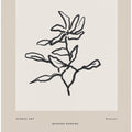 Minimal Bloom