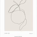 Minimalist Citrus