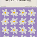 Museebotaniqueno45