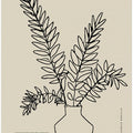 Minimalist Foliage
