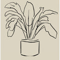 Botanical Devotion