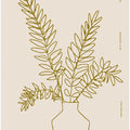 Minimalist Foliage