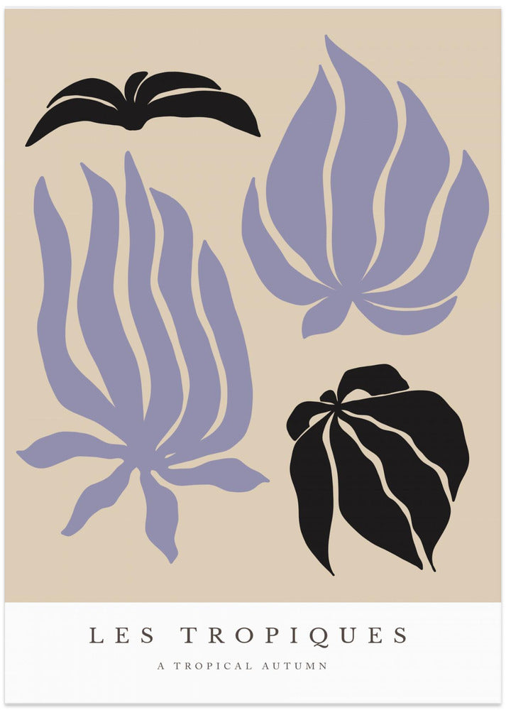 Leafy Silhouettes