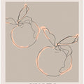 Serene Oranges