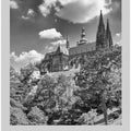 Prague Castle And St. Vitus Cathedral In The Czech Republic