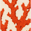 Coral Dreams
