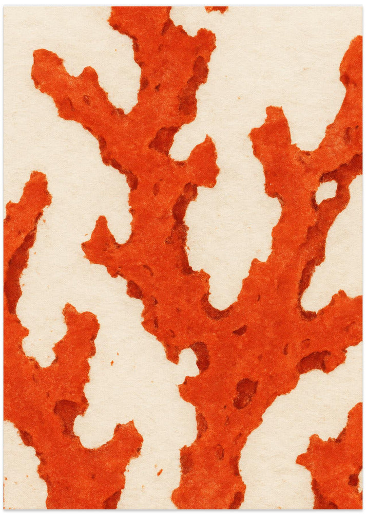Coral Dreams