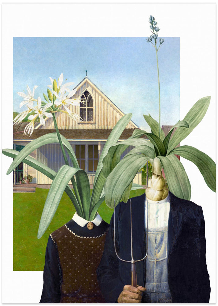 American Botanics