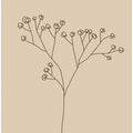 Delicate Line Blossoms