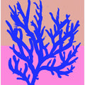 Coral Vibrance