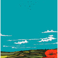 Summer poppy-field