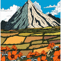 Poppy View Mountains