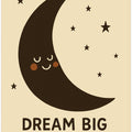 Moonlit Dreams