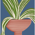 Modern Home Plant