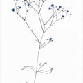 Simple Line Art Plant