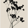 Modern Plant