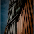 Vertical Harmony // Skyward Ascent