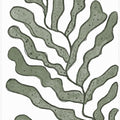 Sea plants