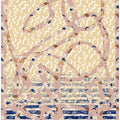 Colorswirl