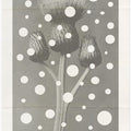 The art of botanic No.2