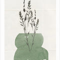 Modern Plants No.1
