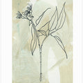 Abstractbotanicsno24