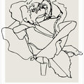 Botanicalineno09