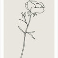 Botanicalineno10